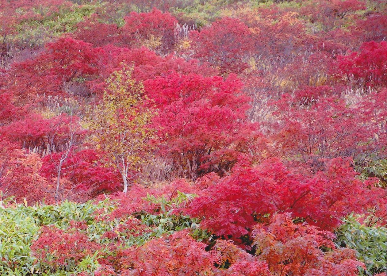 Shiga Kogen Hotel Shiga Sunvalley Jamanouči Exteriér fotografie